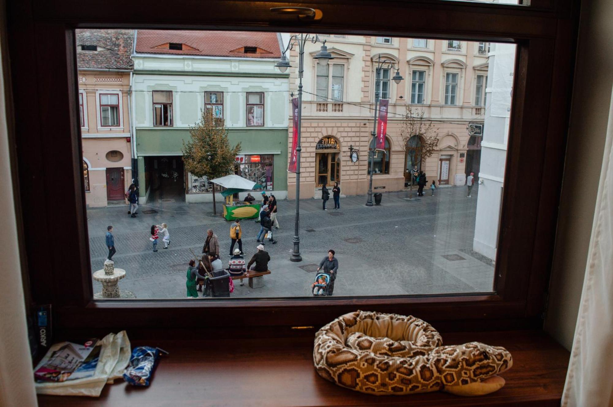 B13 Hostel Sibiu Bagian luar foto